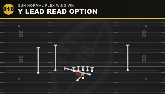 Y LEAD READ OPTION from Gun Normal Flex Wing Wk