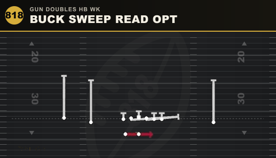 BUCK SWEEP READ OPT from Gun Doubles HB Wk