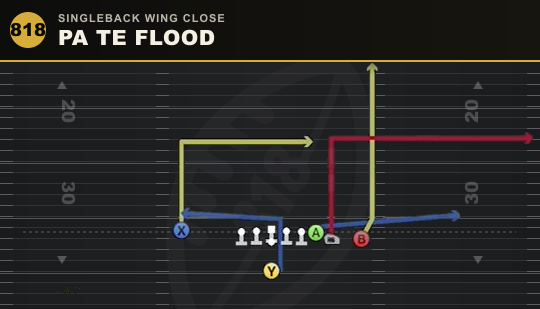 PA TE FLOOD from Singleback Wing Close