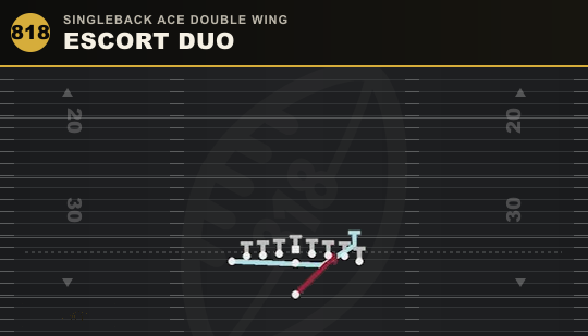 ESCORT DUO from Singleback Ace Double Wing