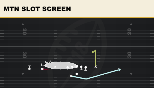 MTN SLOT SCREEN from Trey Y-Flex Str