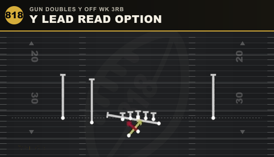 Y LEAD READ OPTION from Gun Doubles Y Off Wk 3RB