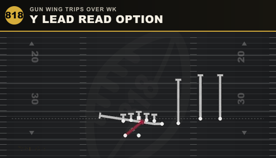 Y LEAD READ OPTION from Gun Wing Trips Over Wk