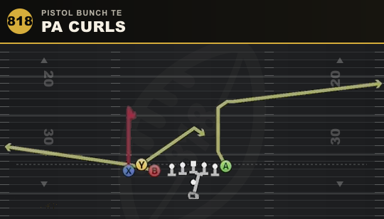 PA CURLS from Pistol Bunch TE