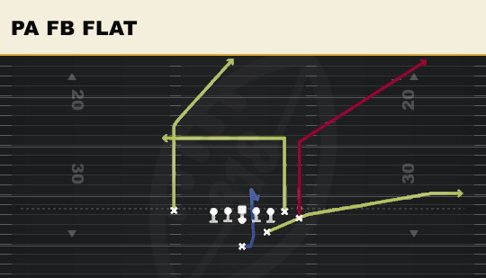PA FB FLAT from Wing Close