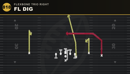 FL DIG from Flexbone Trio Right