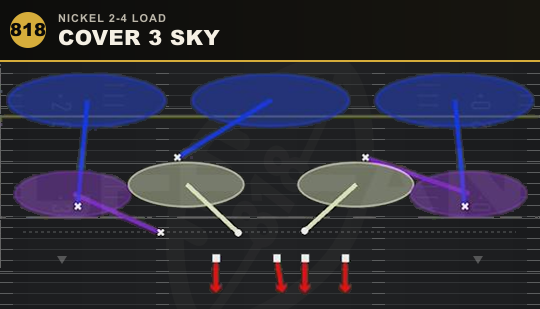 COVER 3 SKY from Nickel 2-4 Load
