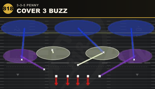 COVER 3 BUZZ from 3-3-5 Penny