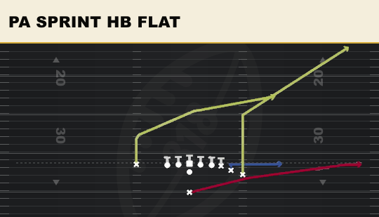 PA SPRINT HB FLAT from Toad X Nasty