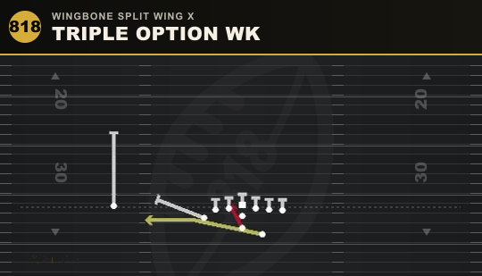 TRIPLE OPTION WK from Wingbone Split Wing X