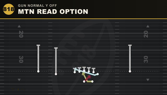 MTN READ OPTION from Gun Normal Y Off