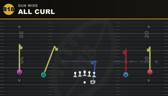 ALL CURL from Gun Wide