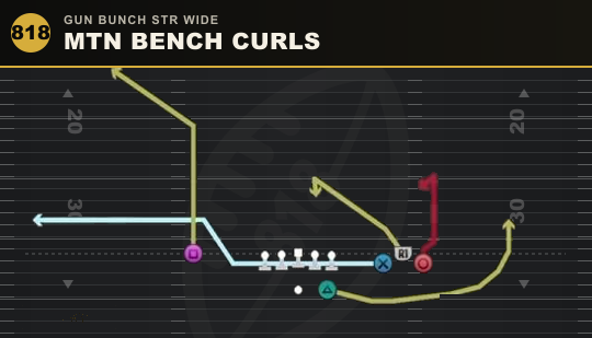 MTN BENCH CURLS from Gun Bunch Str Wide
