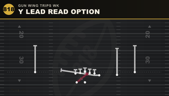 Y LEAD READ OPTION from Gun Wing Trips Wk