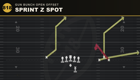 SPRINT Z SPOT from Gun Bunch Open Offset