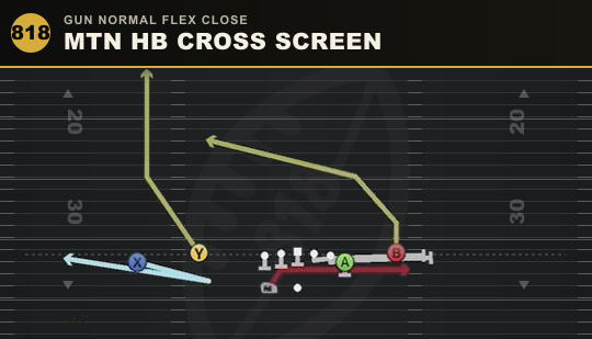 MTN HB CROSS SCREEN from Gun Normal Flex Close