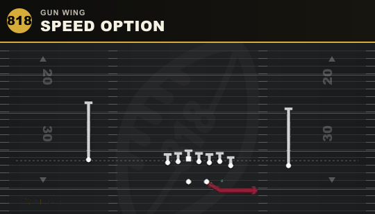 SPEED OPTION from Gun Wing