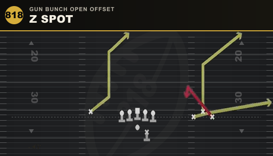 Z SPOT from Gun Bunch Open Offset
