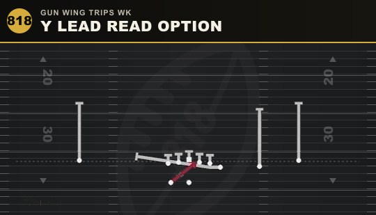 Y LEAD READ OPTION from Gun Wing Trips Wk
