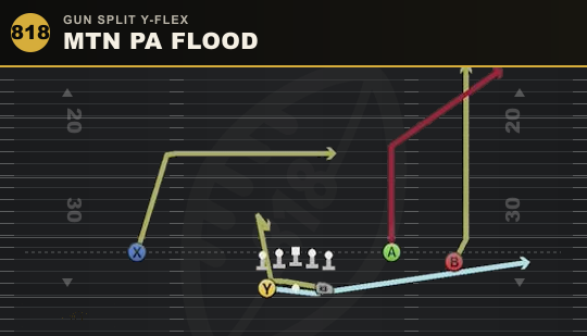 MTN PA FLOOD from Gun Split Y-Flex