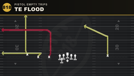 TE FLOOD from Pistol Empty Trips