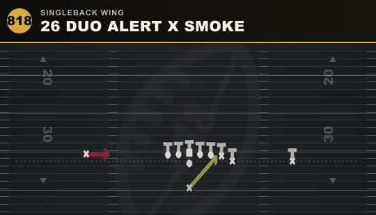 26 DUO ALERT X SMOKE from Singleback Wing