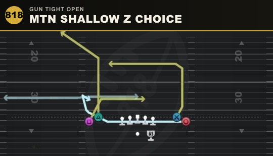 MTN SHALLOW Z CHOICE from Gun Tight Open