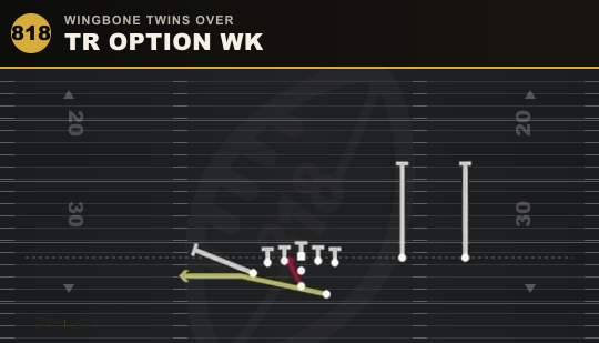TR OPTION WK from Wingbone Twins Over