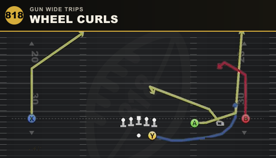 WHEEL CURLS from Gun Wide Trips