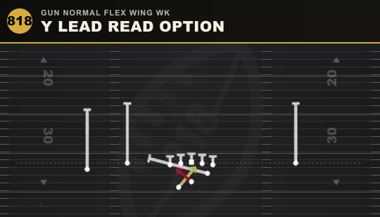 Y LEAD READ OPTION from Gun Normal Flex Wing Wk