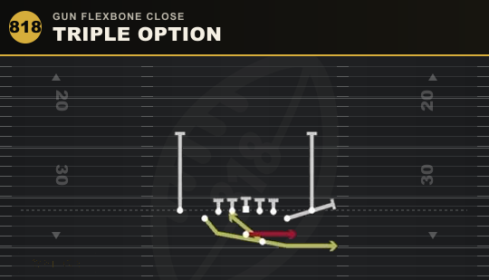 TRIPLE OPTION from Gun Flexbone Close