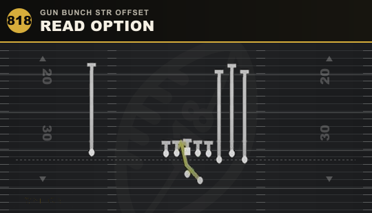 READ OPTION from Gun Bunch Str Offset