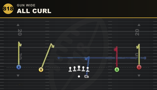ALL CURL from Gun Wide