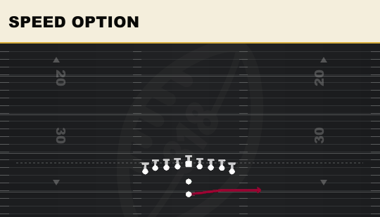 SPEED OPTION from Ace Double Wing