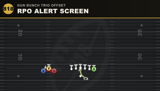 RPO ALERT SCREEN from Gun Bunch Trio Offset