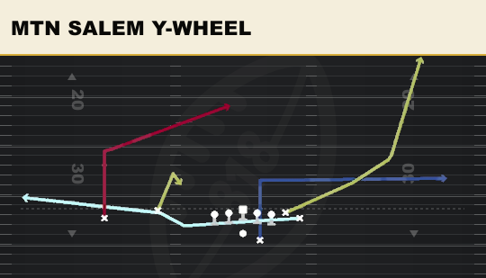 MTN SALEM Y-WHEEL from Wing Flex Offset