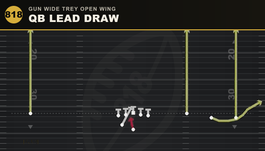 QB LEAD DRAW from Gun Wide Trey Open Wing