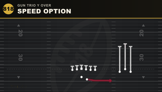 SPEED OPTION from Gun Trio Y Over