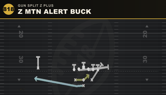Z MTN ALERT BUCK from Gun Split Z Plus