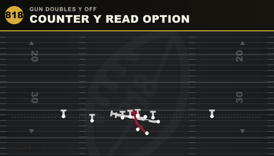 COUNTER Y READ OPTION from Gun Doubles Y Off