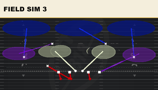 FIELD SIM 3 from Double Mug