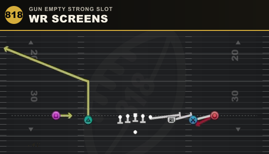 WR SCREENS from Gun Empty Strong Slot