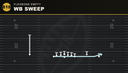 WB SWEEP from Flexbone Empty