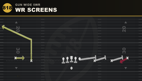 WR SCREENS from Gun Wide 5WR