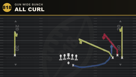 ALL CURL from Gun Wide Bunch