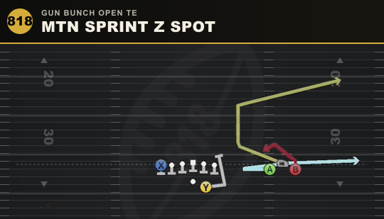 MTN SPRINT Z SPOT from Gun Bunch Open TE