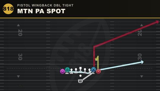 MTN PA SPOT from Pistol Wingback Dbl Tight