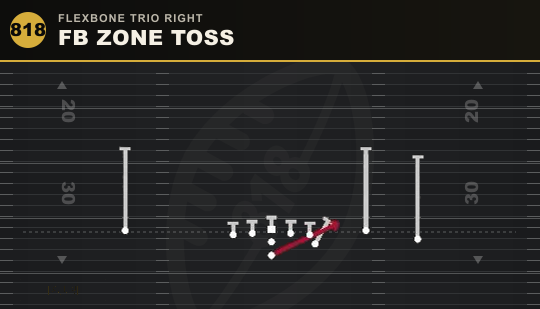 FB ZONE TOSS from Flexbone Trio Right