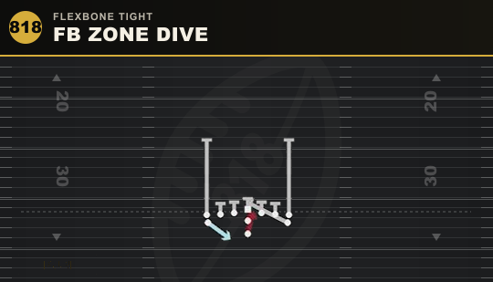 FB ZONE DIVE from Flexbone Tight