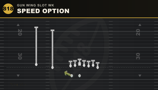 SPEED OPTION from Gun Wing Slot Wk